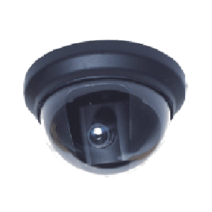 ADV Dome Camera
